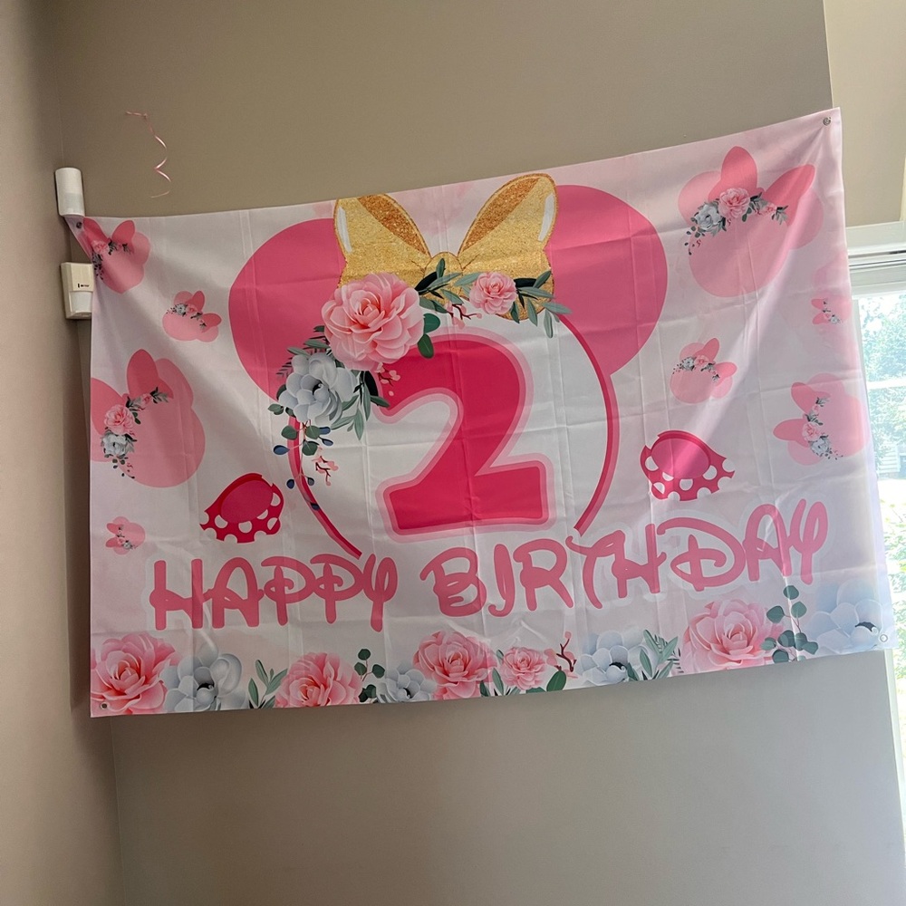 Minnie Mouse Birthday Backdrop